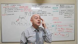 Macroeconomics - Lecture 16 - Monetary System