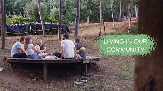 One week in our off grid community in Portugal [#184] screenshot 3