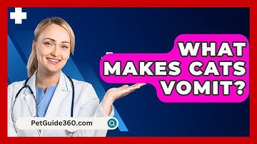 What Makes Cats Vomit? - PetGuide360.com