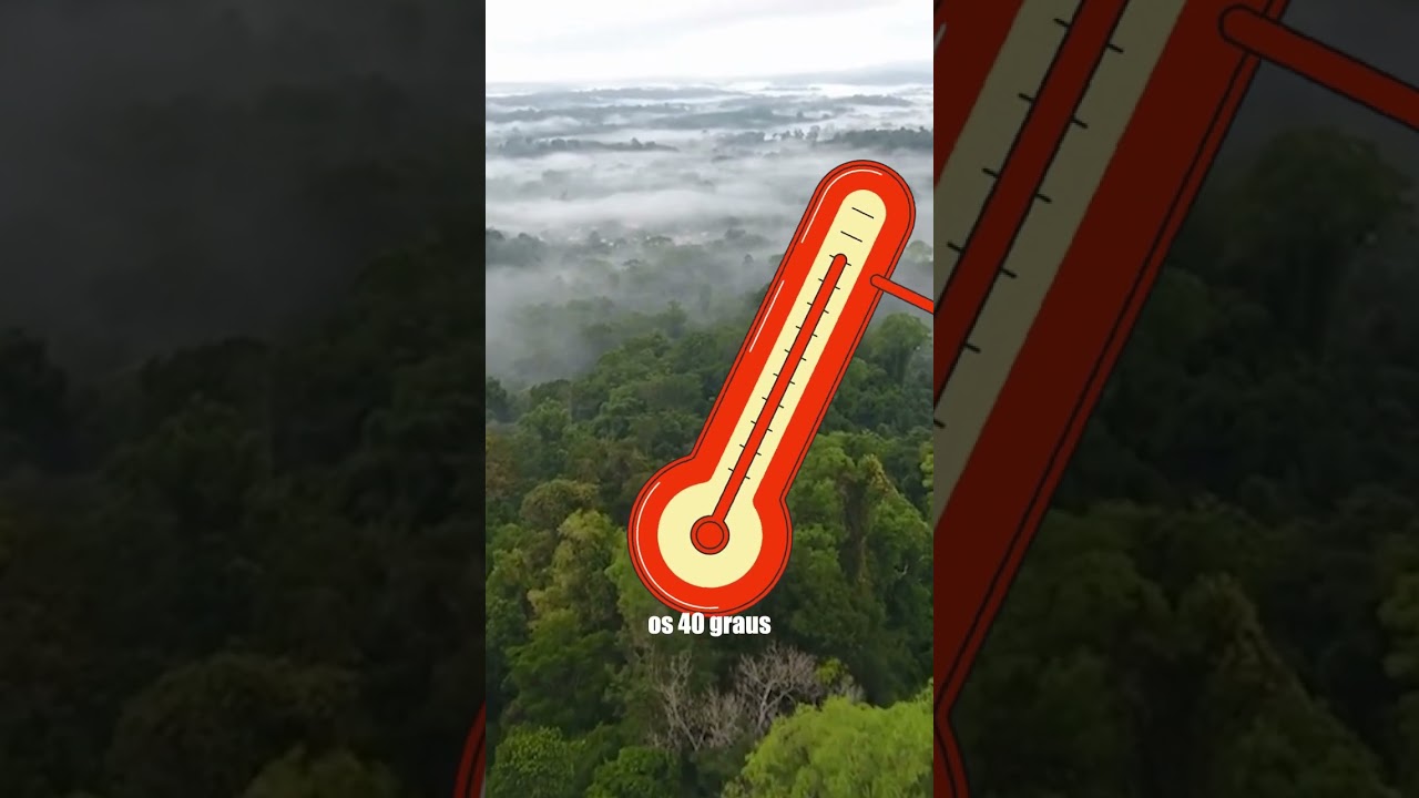 NENHUM CARRO PODE PASSAR AQUI: POR QUE? QUE ZONA PERIGOSA É ESTA?