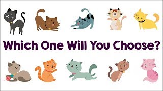 The Cat You Pick Will Reveal Your True Personality