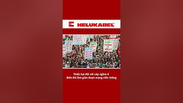 Thiệt hại đối với cáp ngầm ở Biển Đỏ làm gián đoạn mạng internet #helukabel #new