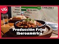 Producción de Fríjol en Iberoamérica