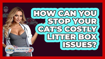 How Can You Stop Your Cat