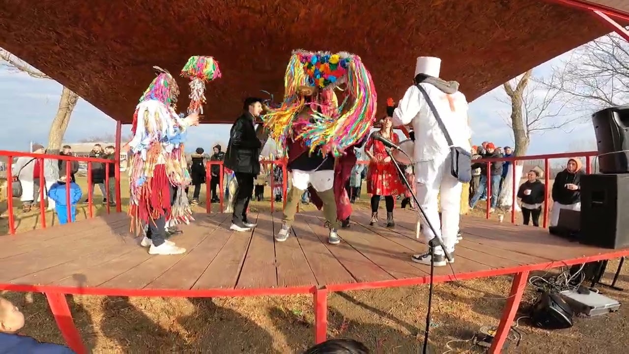 Capra din Mihail Kogălniceanu, Tiganasi 2023