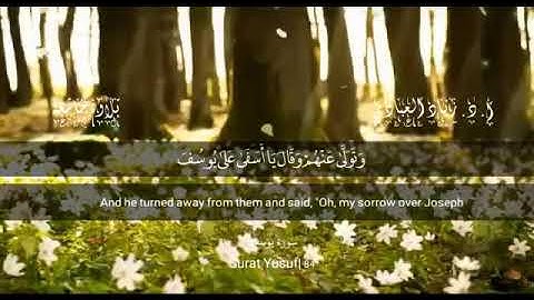 قراءة تجويدية لآيات من سورة يوسف. أ. د. زياد العبادي