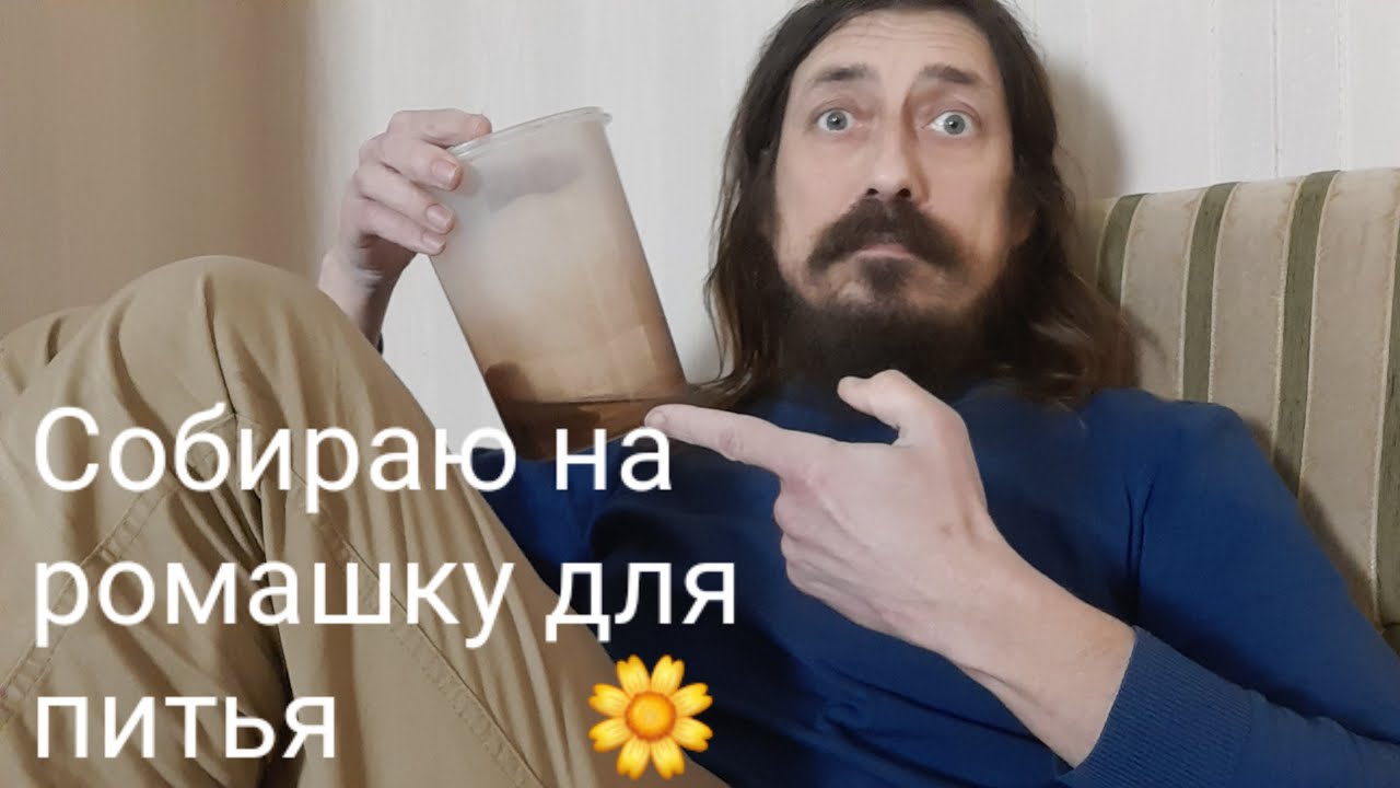 Собираю на ромашку и всякую мяту