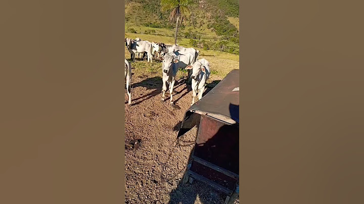 This is where we give value #countryside #cattle #livestock #farmer #farm #countrysidelife #situa...