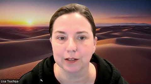 Exploring Challenging Team Landscapes Through Zoom Backgrounds