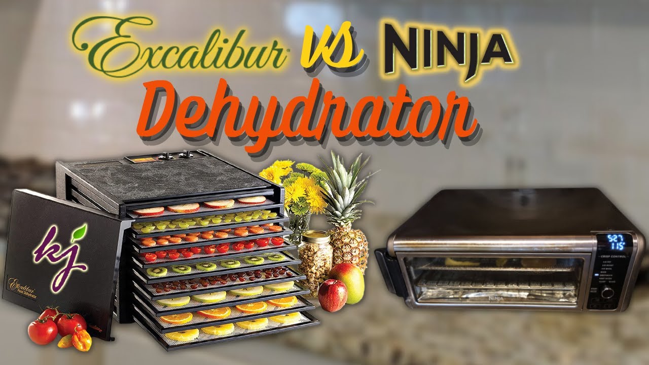 Excalibur 10 Tray Performance Digital Dehydrator, in Stainless