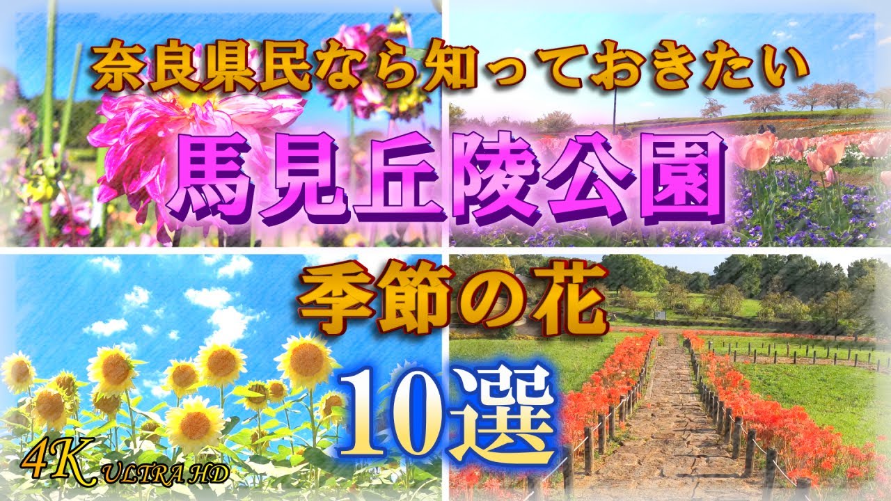 【馬見丘陵公園】無料で楽しめる奈良県の観光名所