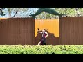 ANNA よさこいと踊りのフェスティバルin寺泊