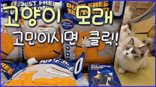 떠오르는 고양이모래 리뷰 ㅣ 페스룸 오리지널 파인 벤토나이트 by 고양이발자국Catfootprint 4,927 views 2 years ago 6 minutes, 43 seconds