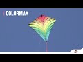 X kites color max diamond nylon easy flyer kites
