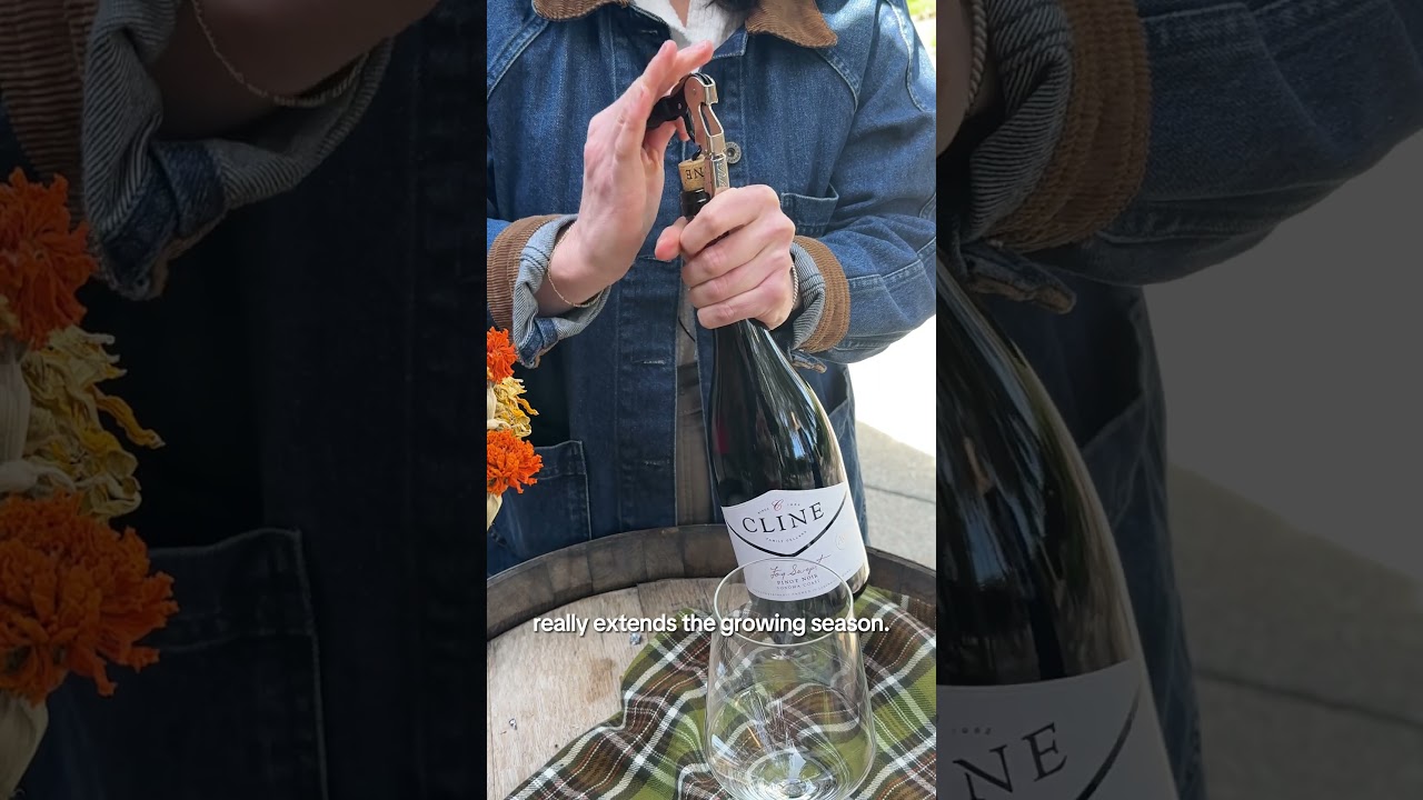 Learn About our Fog Swept Pinot Noir - Cline Family Cellars #wine