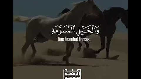 زين للناس حب الشهوات من النساء للقارئ عبدالرحمن صبحي