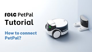 ROLA PetPal | How to connect PetPal?