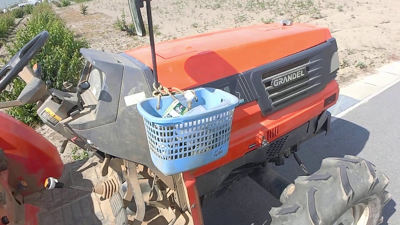 ヌカ散布秋人参前半戦の畑200521