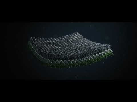 Lorpen Video - Lorpen Video