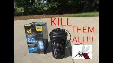 Black Flag Bug Zapper