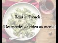 Read in French level A1/A2 : 'Des merdes de chien au menu'