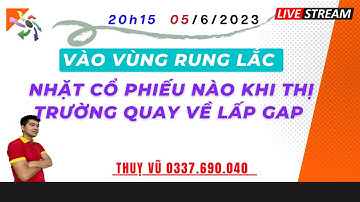 Chứng khoán hôm nay : Vào vùng rung lắc - Nhặt cổ phiếu nào khi thị trường lấp gap ? Thuỵ Vũ ITP