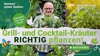 Grill-und Cocktail-Kräuter RICHTIG für Balkon/Fensterbank pflanzen