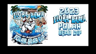 Polar Bear Dip 2023