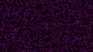 noise texture