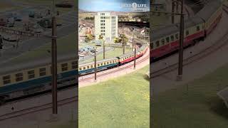 HO Scale Model Trains at The Railways Kaeserberg #modelrailway  #modelrailroad #modeltrainlayout