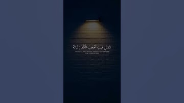 { اعلموا انما الحياة الدنيا لعب ولهو } للقارئ سعد الغامدي | تلاوة رائعة