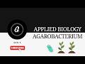 Agrobacterium tumefaciens (PART 1) #csirnet #biology #lifescience #biologylectures #gate #icmr #neet