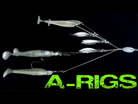 A-Rig Tricks: Everything You Need To Know For Spring And Winter