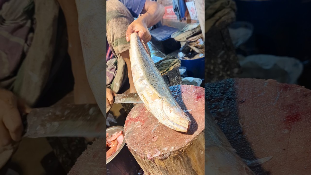 Amazing Huge Sea Poa Fish Cutting Skills Live In Bangladesh Fish kstatus