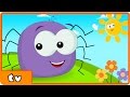 Incy Wincy Spider | Itsy Bitsy Spider | Plus Lots More Popular Nursery Rhymes By Hooplakidz TV