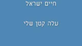 חיים ישראל - עלה קטן chords