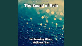 The Sound of Rain Pt. 15