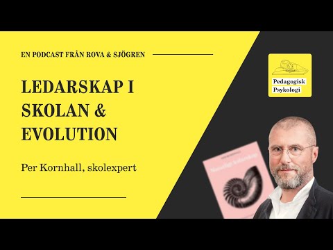 Video: Vad är kontinuitet och diskontinuitet inom psykologi?