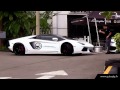 High gloss blanc et jantes noires pour cette lamborghini  auto dip france