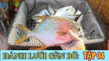 Đánh Lưới Gần Bờ Gặp Bầy Cá Chim Vàng Đang Đi Săn Mồi | Tiến Bens - Fishing