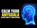 Calm your amygdala  lessen fear response in body  relieve anxiety  panic attacks  calming music