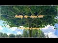 Life in the Netherlands | August 2025 | Monthly vlog | Last month of summer