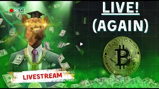 LIVE STREAM with Camel