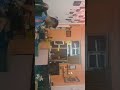 امیدشاه مرادی امیدشاه مرادی