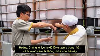 Vỏ Dứa Có Thể Thay Thế Xà Phòng Không- Fuwa3E- Phần 6