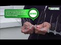 Vidéo: Bande de pics métalliques anti-oiseaux