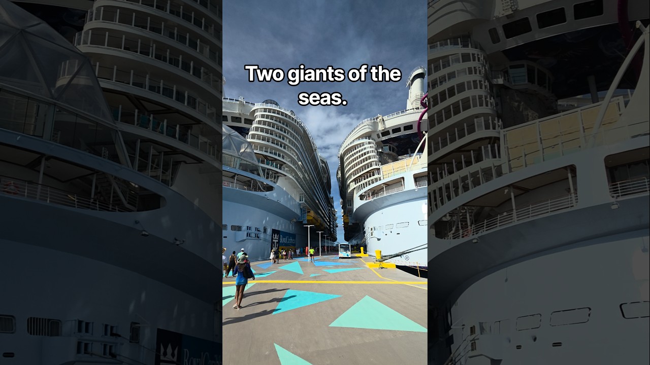 Harmony of the Seas and Utopia of the Seas #royalcaribbean #cruise #ytshorts #travel #bahamas #view