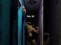 Summer Cut_Day 52 #selfimprovement #fitness #restday #recovery #minivlog