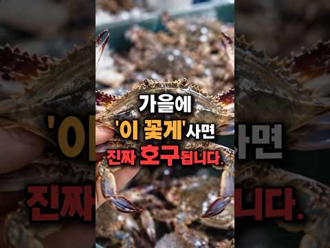 가을 꽃게, 이거 사면 진짜 호구입니다.