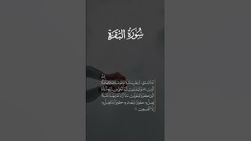 سورة البقرة اية 26💗